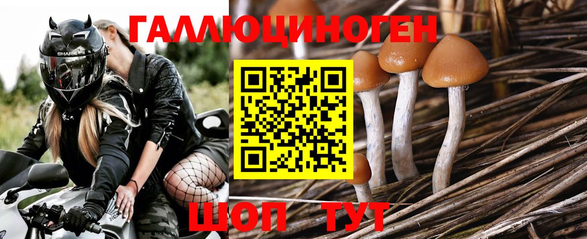 Галлюциногенные грибы ЛСД  Псилоцибиновые грибы MAGIC MUSHROOMS  Вход с VPN  Боровичи 